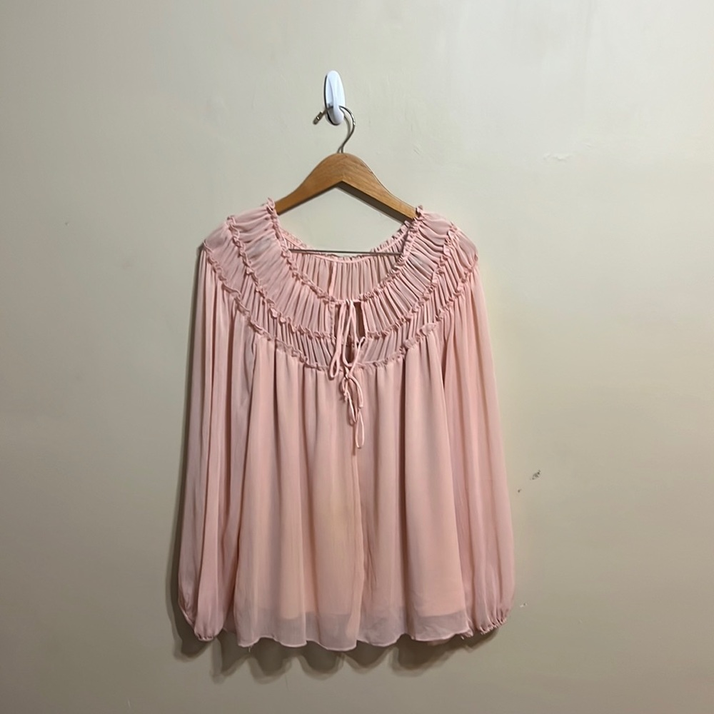 Beautiful, Sheer Pink Blouse